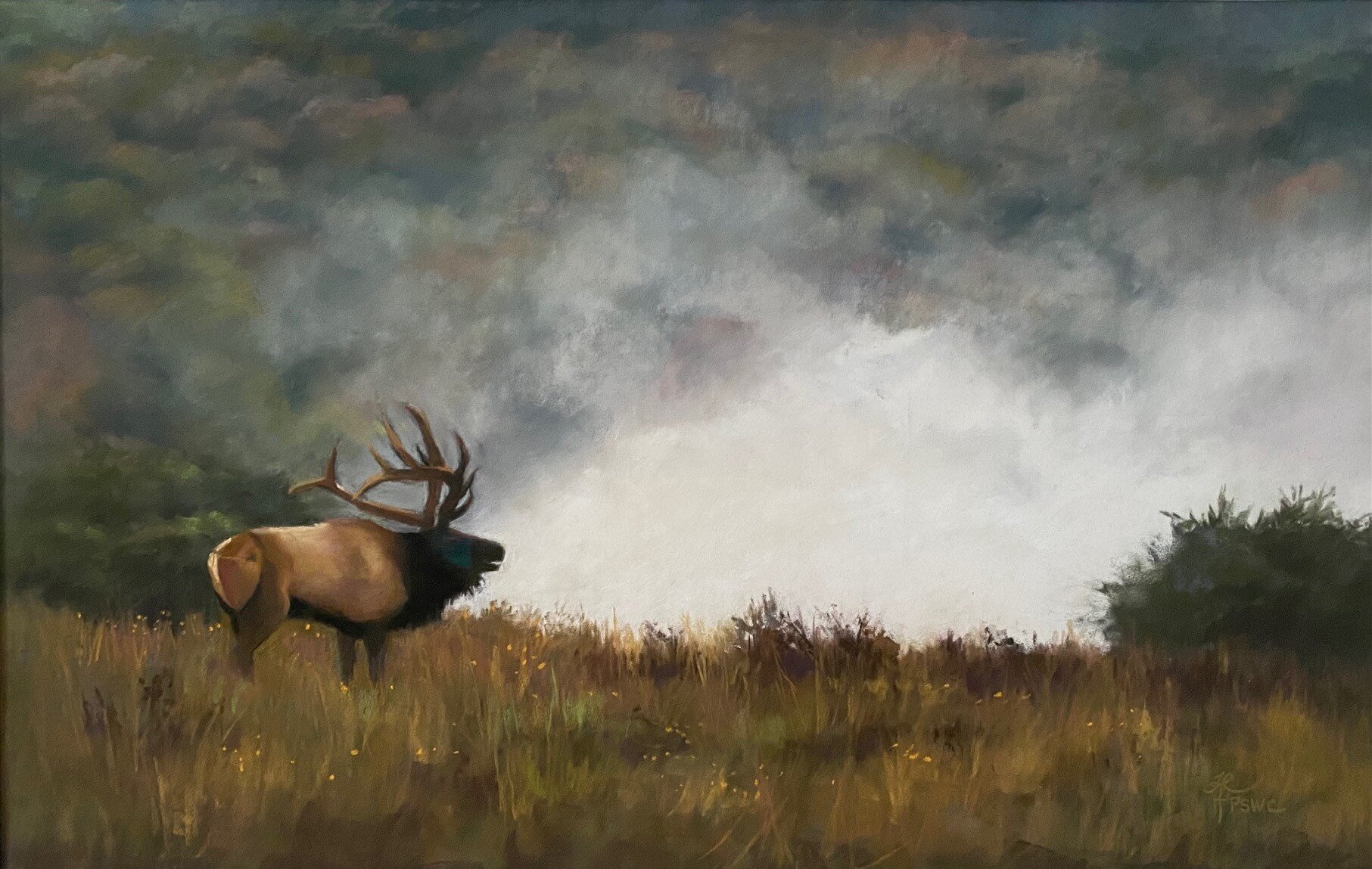 Artwork by Heidi Reeves