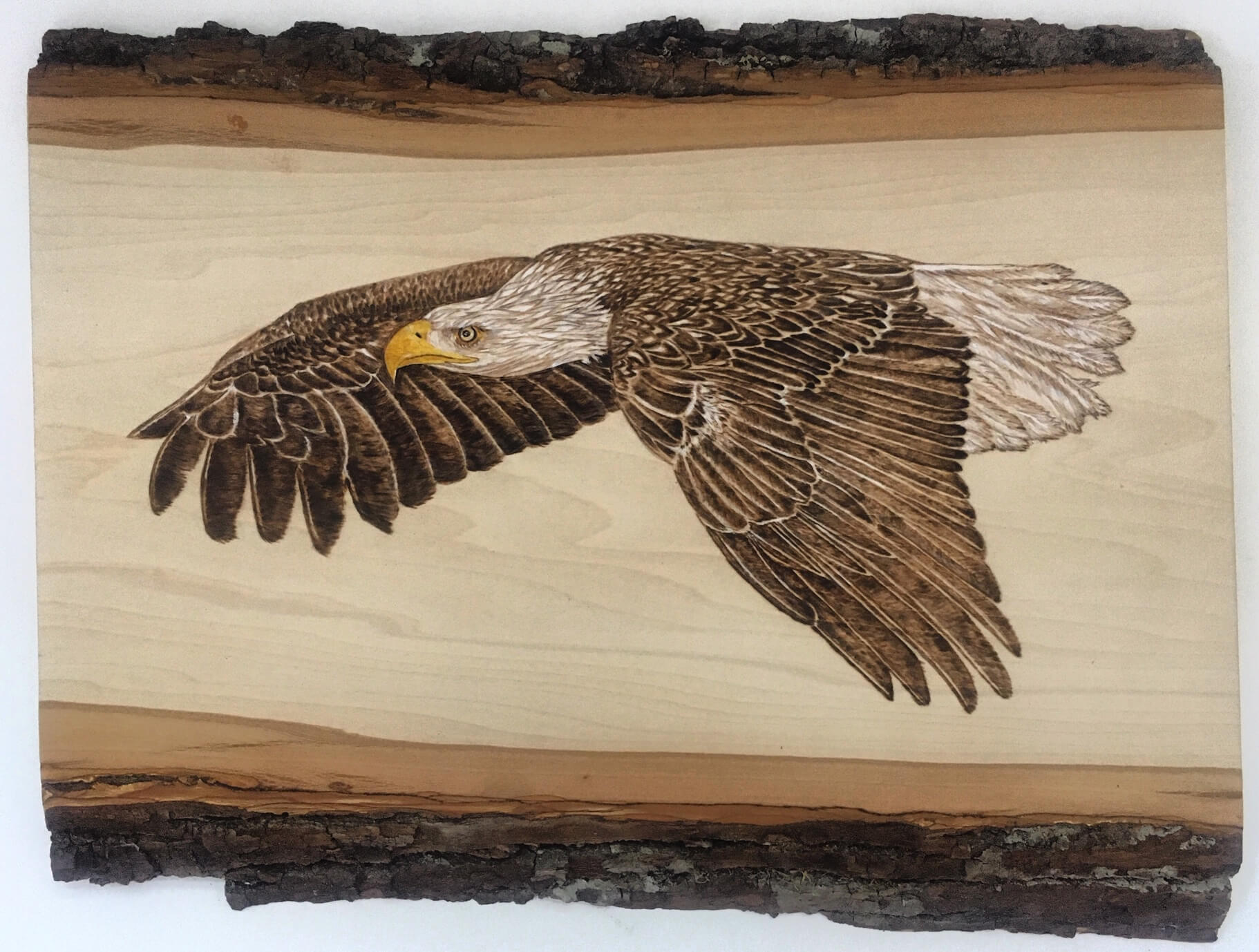 Artwork by Debbie Johnson