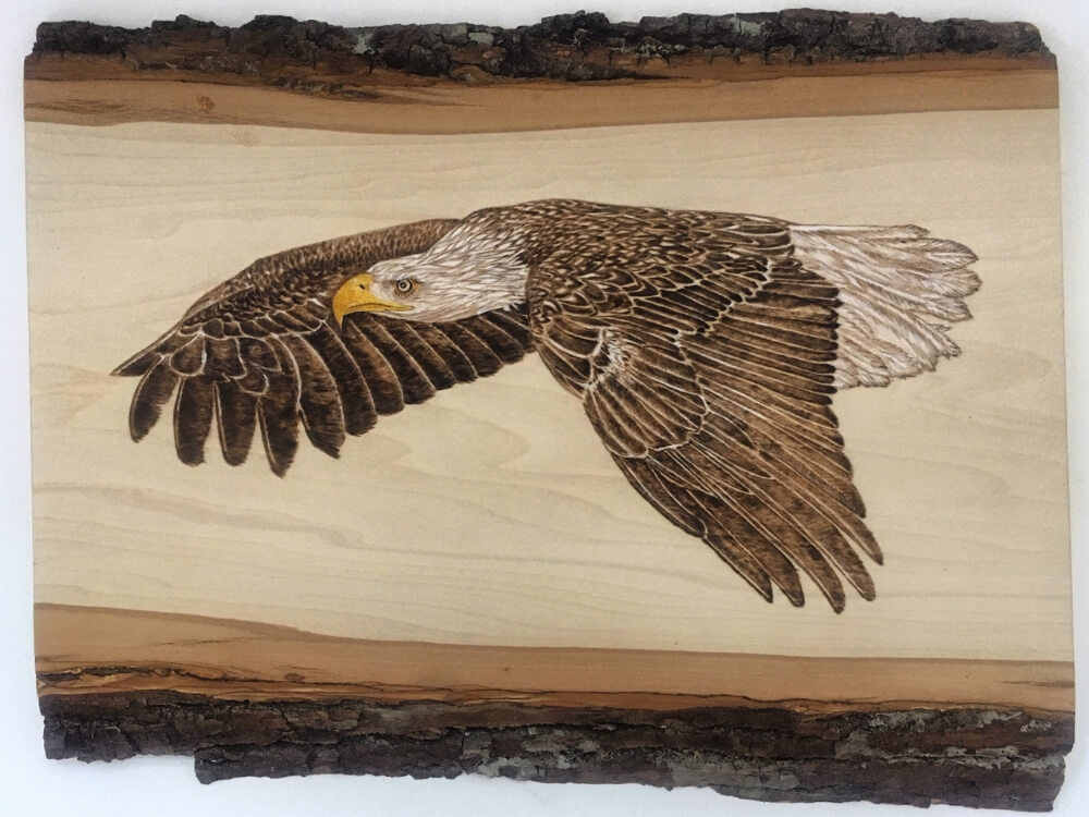 Artwork by Debbie Johnson