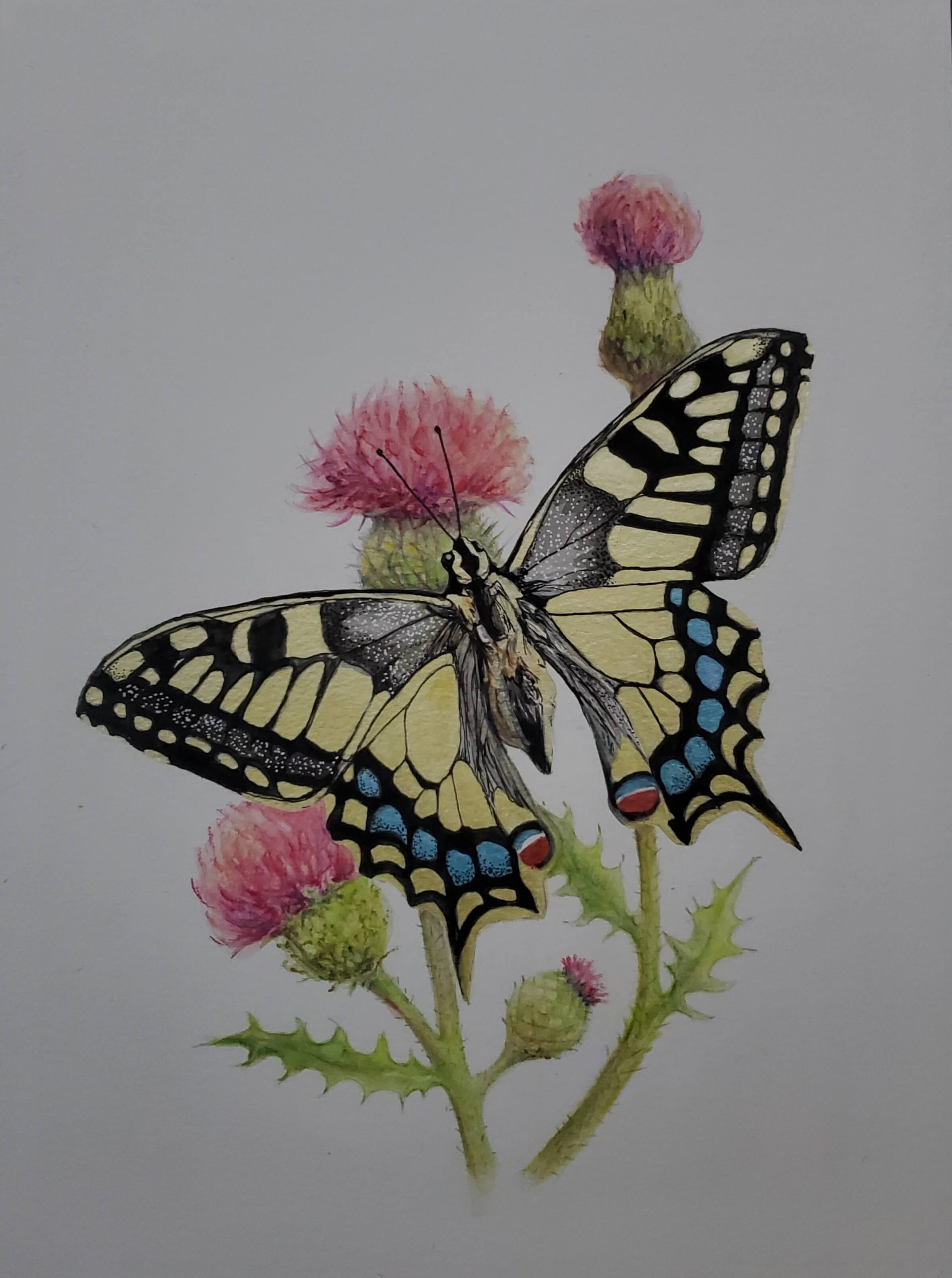 Artwork by Vera Ballman