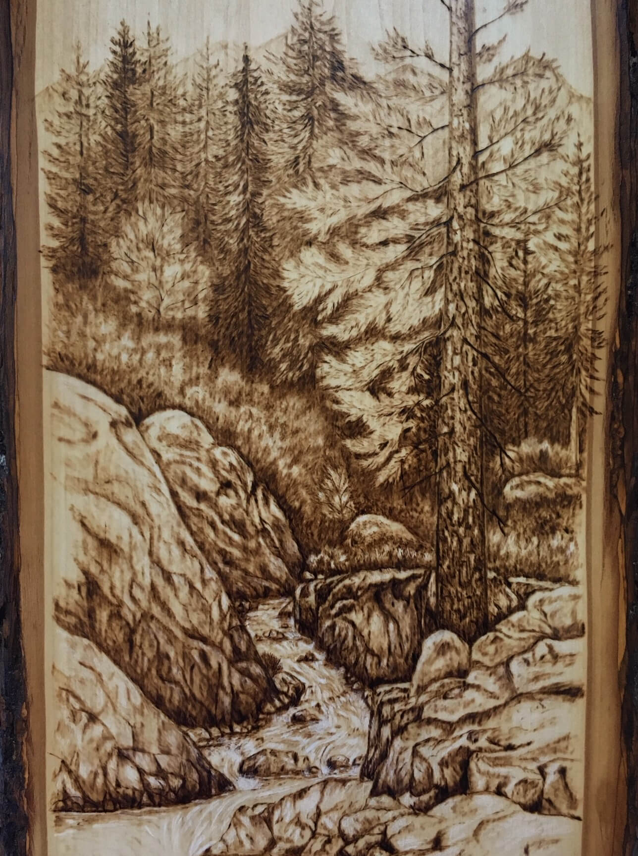 Artwork by Debbie Johnson