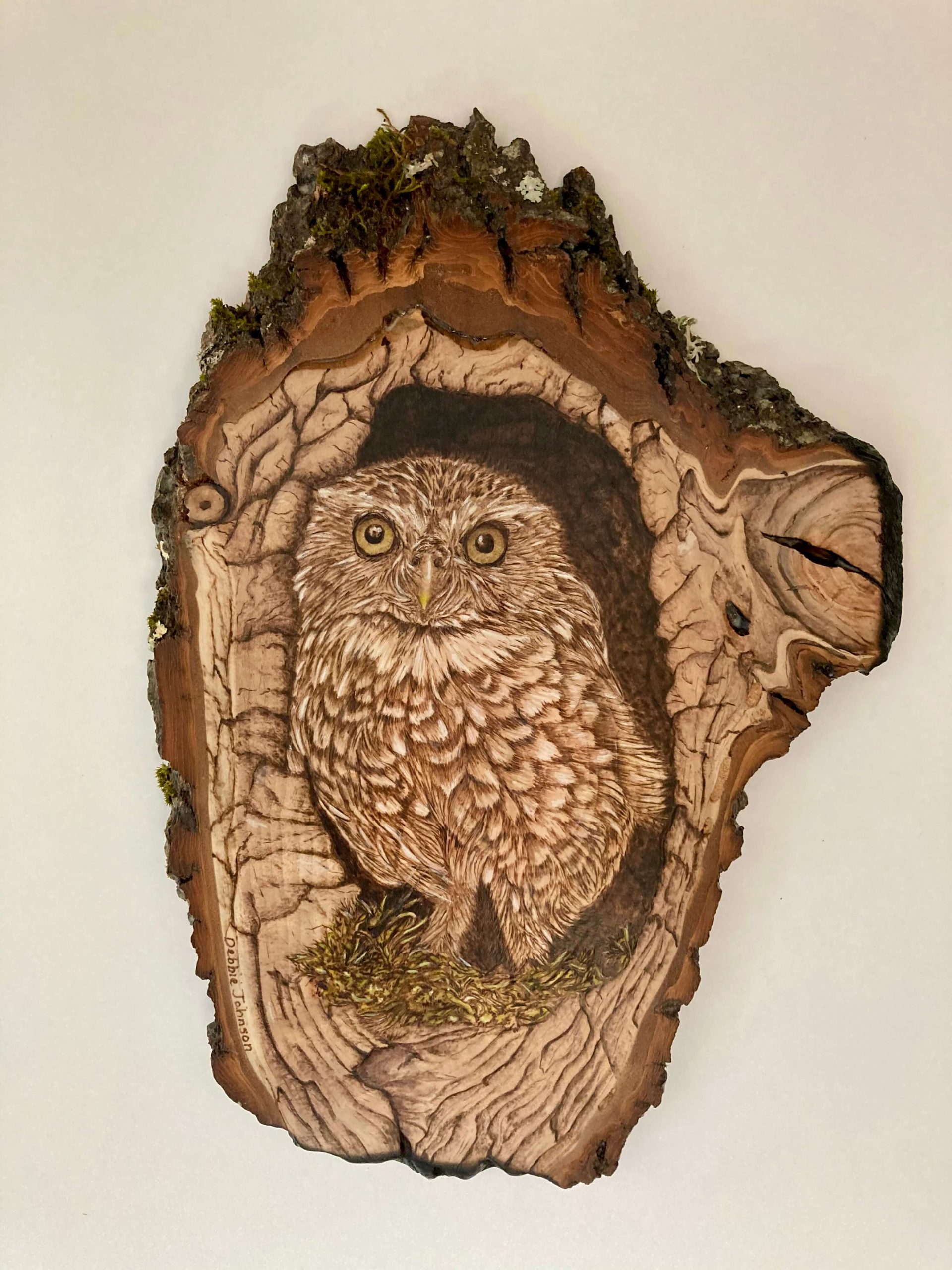 Artwork by Debbie Johnson